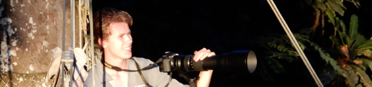 The photography of Hutch Whitman